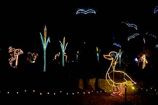 Zoo Lights, December 16, 2013